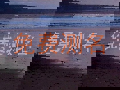 免费测名