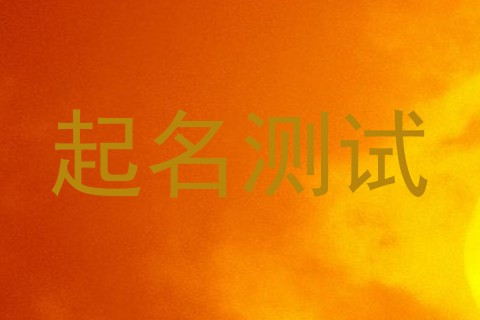 起名测试
