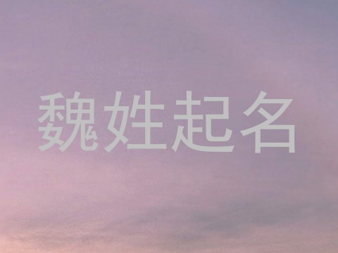 魏姓起名