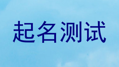 起名测试