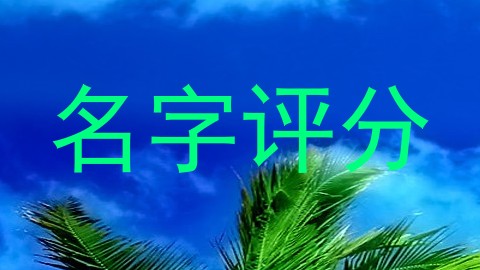 名字评分