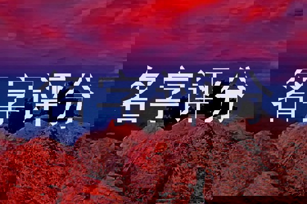 名字评分