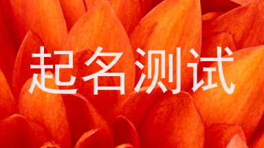 起名测试