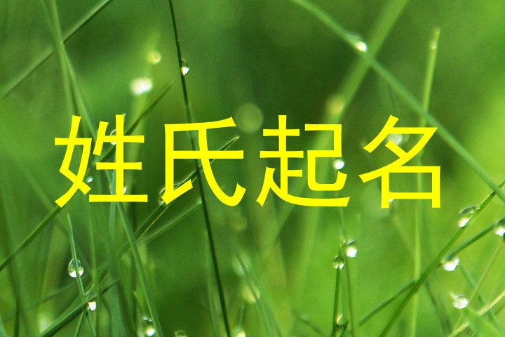 姓氏起名