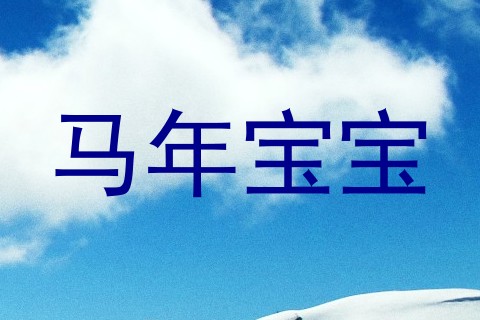 马年宝宝