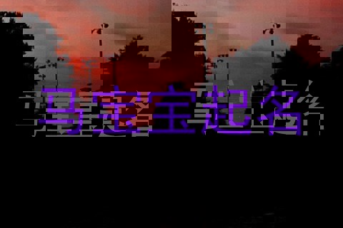 马宝宝起名