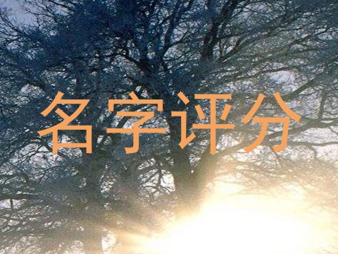 名字评分
