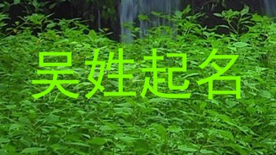 吴姓起名