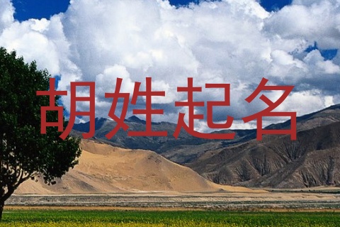 胡姓起名