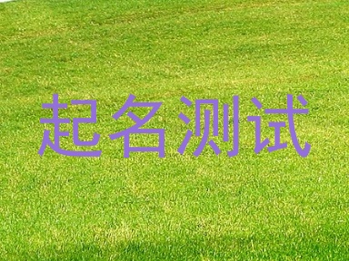 起名测试