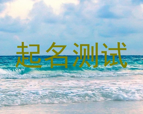 起名测试