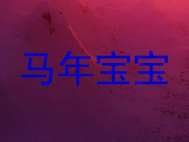 马年宝宝