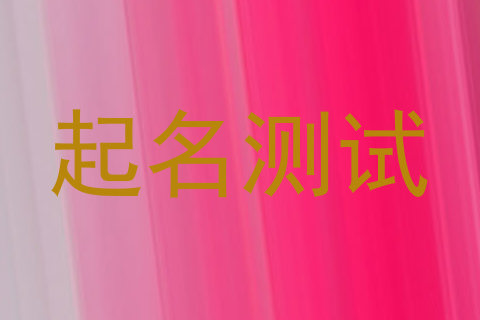 起名测试