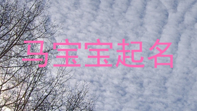 马宝宝起名