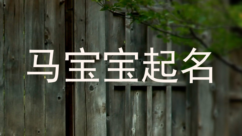 马宝宝起名