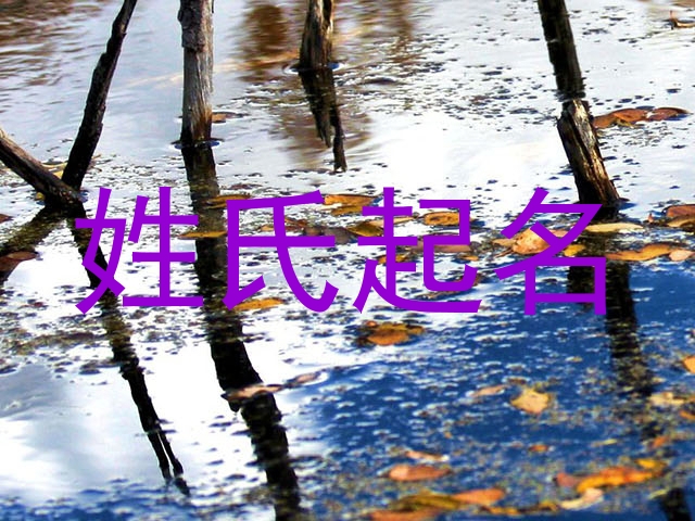 姓氏起名