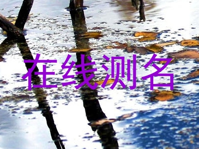 在线测名