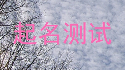 起名测试