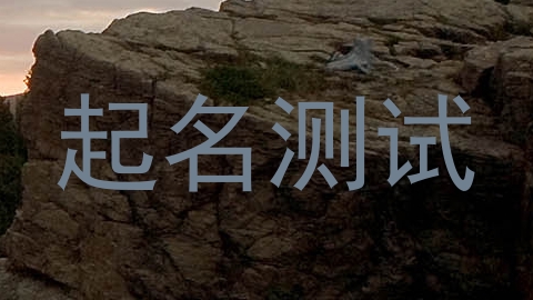 起名测试