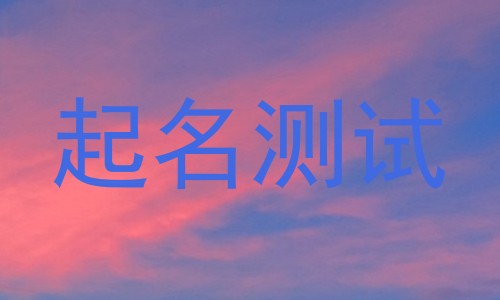 起名测试