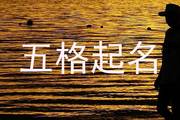 五格起名