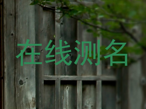 在线测名