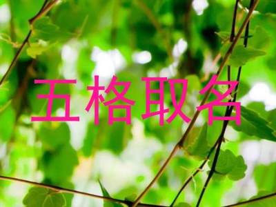 五格取名