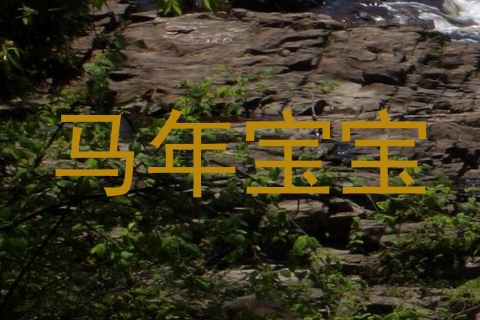 马年宝宝