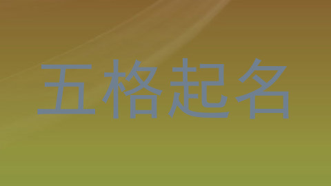 五格起名