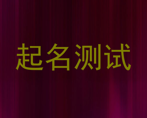 起名测试