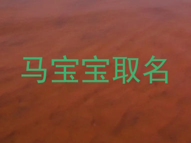 马宝宝取名