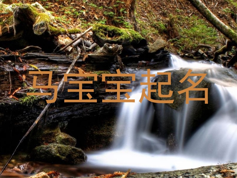马宝宝起名