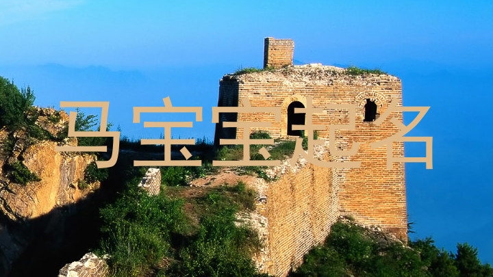 马宝宝取名