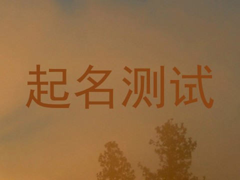 起名测试