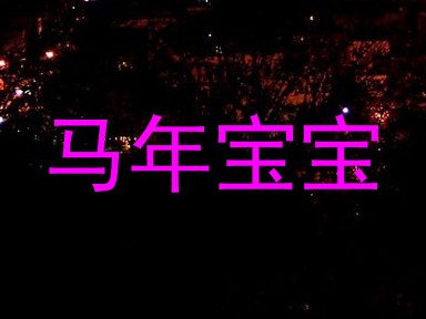 马年宝宝