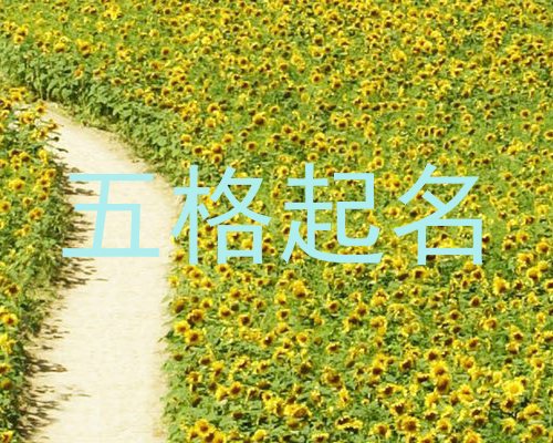 五格起名