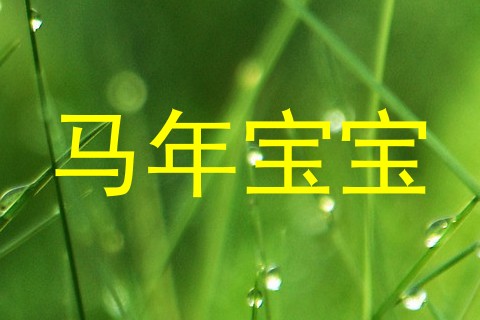 马年宝宝