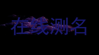 在线测名