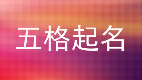 五格起名