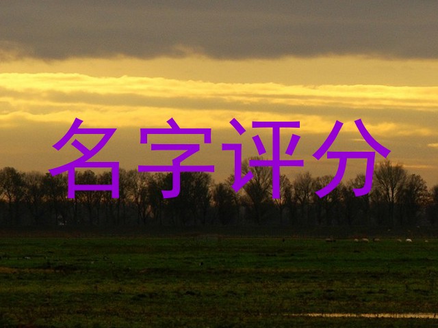 名字评分