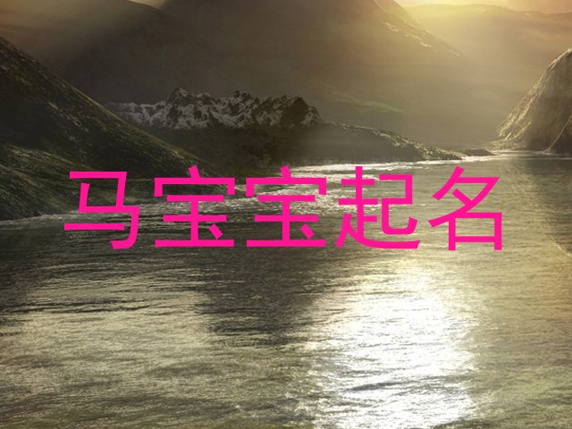 马宝宝