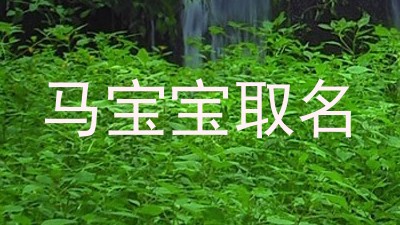 马宝宝取名