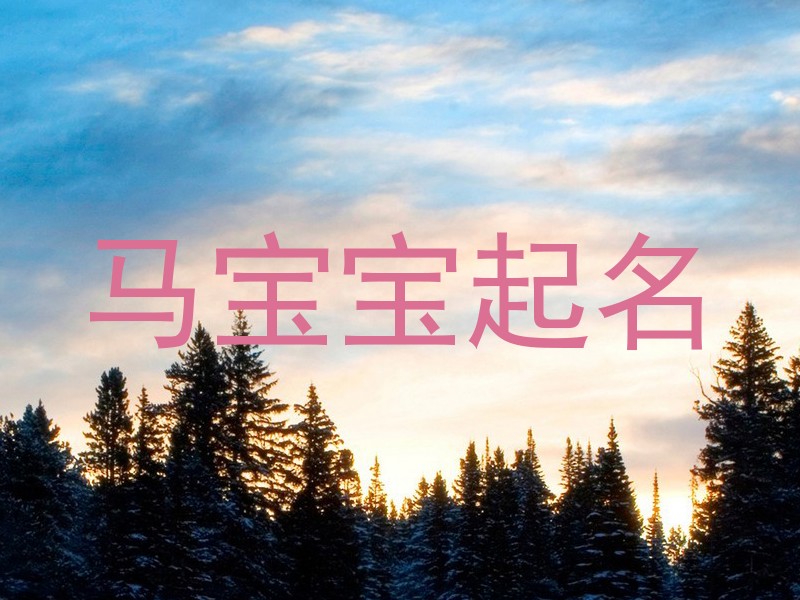 马宝宝起名