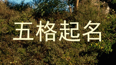 五格起名
