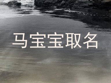 马宝宝取名
