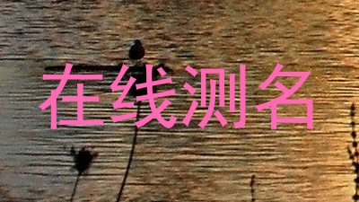 在线测名