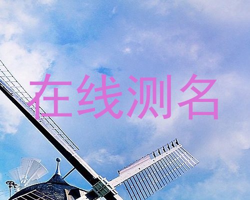 在线测名