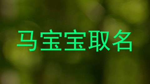 马宝宝取名