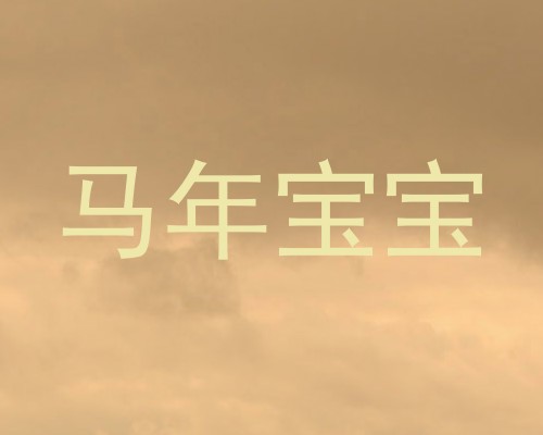 马年宝宝