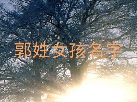 郭姓女孩名字